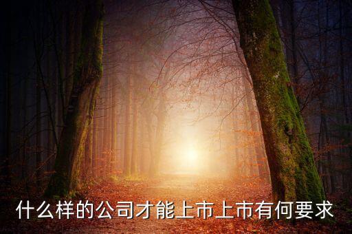 什么樣的公司可以上市，什么樣的公司才能上市上市有何要求