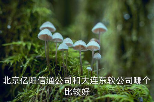 北京億陽(yáng)信通公司和大連東軟公司哪個(gè)比較好