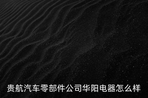貴航集團(tuán)華陽(yáng)電工廠是什么企業(yè)，貴航汽車零部件公司華陽(yáng)電器怎么樣