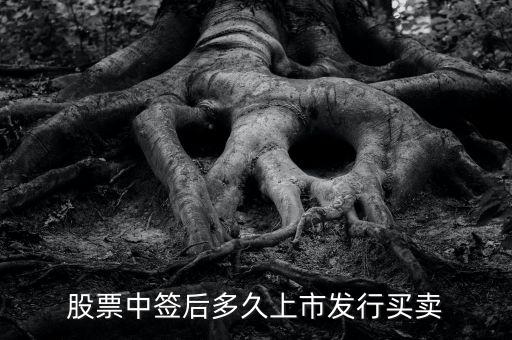 300512什么時(shí)候上市交易，股票中簽后多久上市發(fā)行買賣