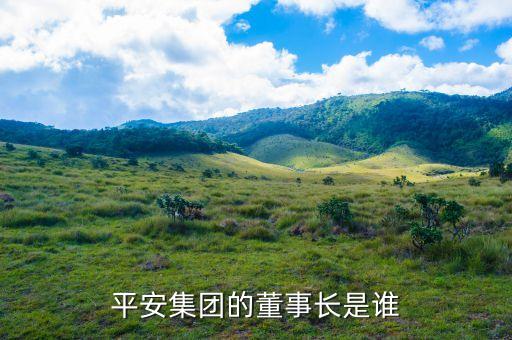 平安集團(tuán)的董事長是誰