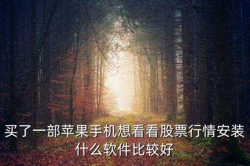 買了一部蘋果手機想看看股票行情安裝什么軟件比較好