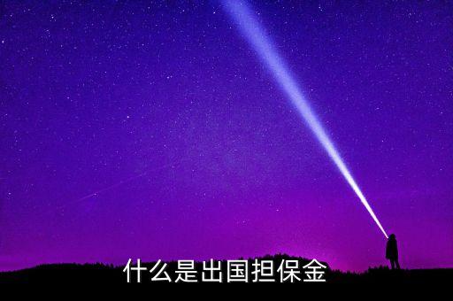 什么是出國擔(dān)保金