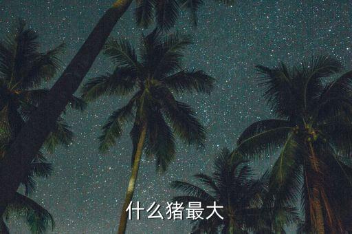 什么豬最大能長(zhǎng)40金，什么豬最大