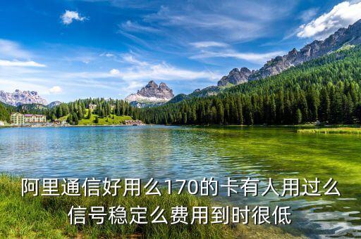 阿里通信好用么170的卡有人用過么信號穩(wěn)定么費(fèi)用到時很低