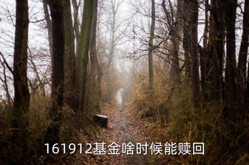 168102什么時候能贖回，166902民生加銀債券a贖回期三年封閉期什么時候能贖回