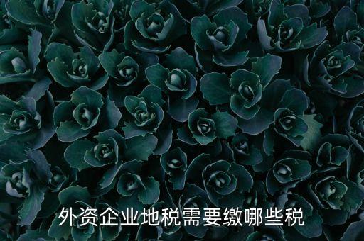 外資企業(yè)地稅需要繳哪些稅