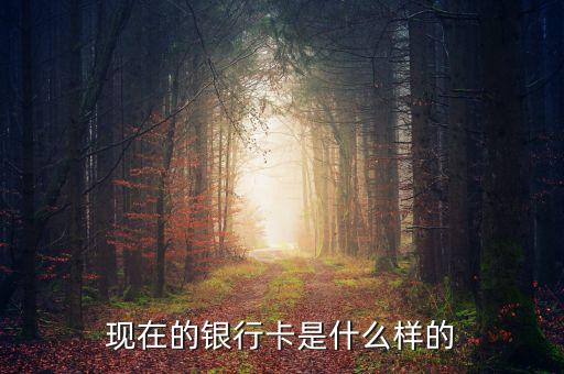 首都銀行卡長什么樣，銀行卡賬號長什么樣