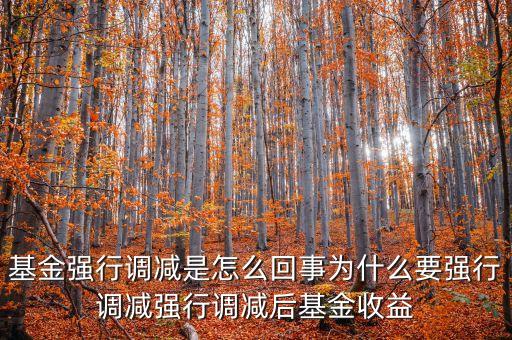 基金強(qiáng)減會對基金產(chǎn)生什么影響，強(qiáng)行調(diào)減對原有基金持有人是否有損害