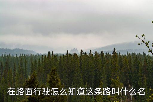 什么叫路條，什么叫做條條道路通羅馬