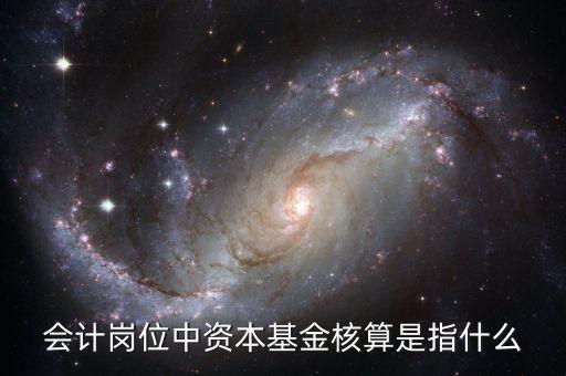 會(huì)計(jì)崗位中資本基金核算是指什么
