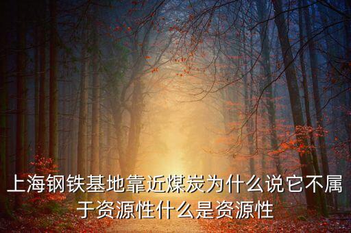 什么是資源開(kāi)發(fā)性鐵路，為什么說(shuō)青藏鐵路是西部大開(kāi)發(fā)的標(biāo)志性工程