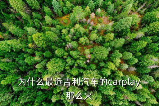 奧迪carplay是什么意思，有誰知道CarLife怎樣連接奧迪