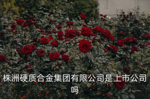 旗濱集團(tuán)是做什么的，旗濱集團(tuán)是五百強(qiáng)嗎