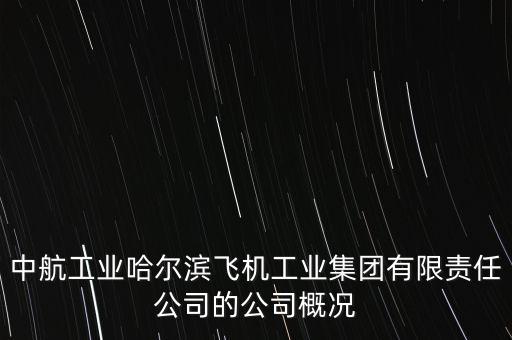 哈飛生產(chǎn)什么飛機(jī)，成飛 陜飛 哈飛 沈飛那個(gè)是中國(guó)最大的飛機(jī)制造企業(yè)