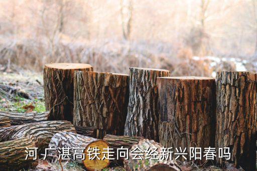 新興什么時(shí)候有高鐵，河 廣湛高鐵走向會(huì)經(jīng)新興陽(yáng)春?jiǎn)?/></a></span><span id=