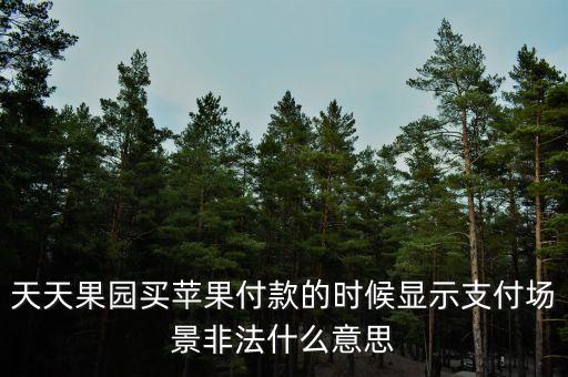 支付場(chǎng)景是什么意思，美團(tuán)使用花唄顯示該場(chǎng)景超出支付限額是什么意思