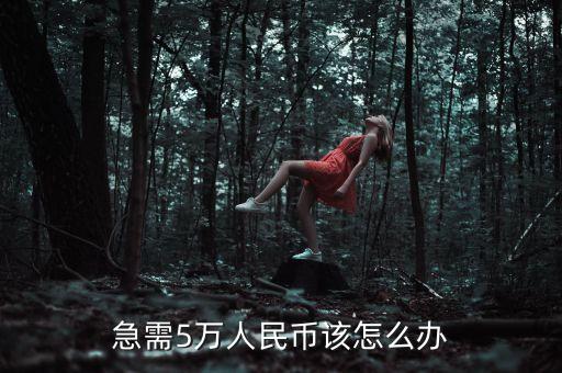 急需5萬(wàn)人民幣該怎么辦