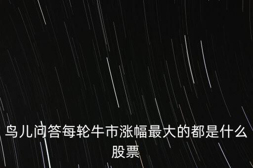 每回牛市上漲最多是什么板塊，本輪牛市整體漲幅最大的是哪個(gè)板塊列幾個(gè)出來(lái)謝謝了