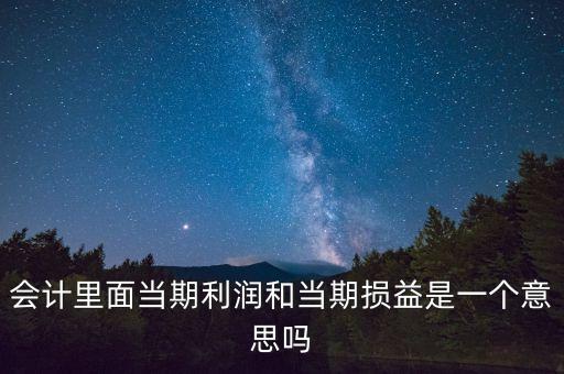 當(dāng)期利潤是指什么意思，當(dāng)期利潤當(dāng)期應(yīng)付利息等等中的當(dāng)期是什么含義