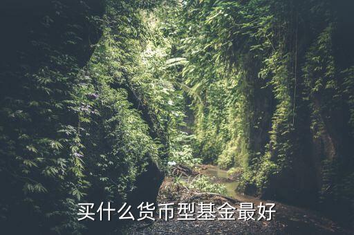買(mǎi)什么貨幣型基金最好