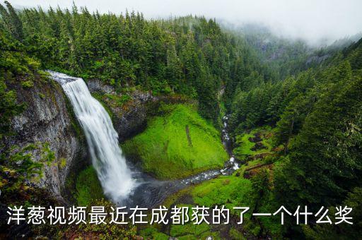 洋蔥視頻最近在成都獲的了一個什么獎