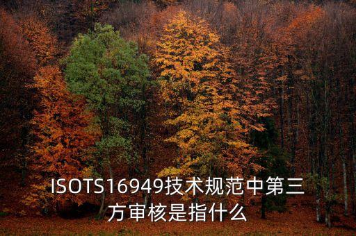 什么是第三方審計(jì)，ISOTS16949技術(shù)規(guī)范中第三方審核是指什么
