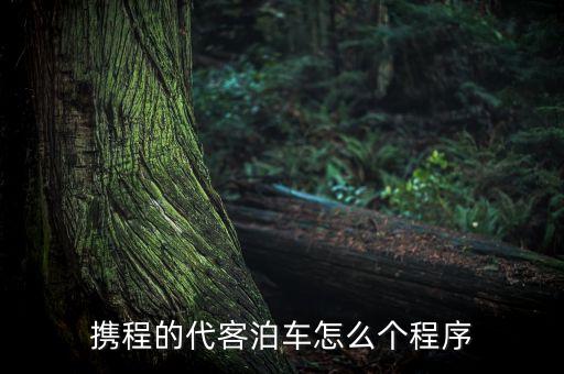 攜程的代客泊車怎么個程序