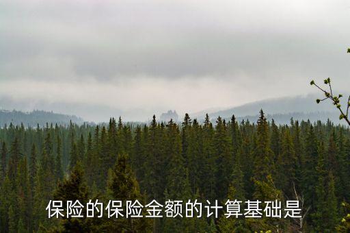 保險的保險金額的計算基礎(chǔ)是