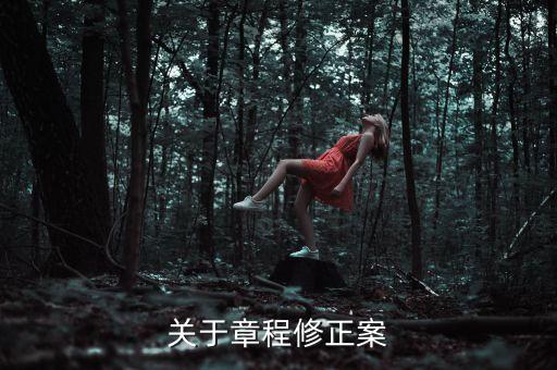 章程修正案是什么，公司章程修正案