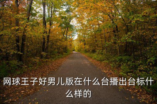 網(wǎng)球王子好男兒版在什么臺(tái)播出臺(tái)標(biāo)什么樣的
