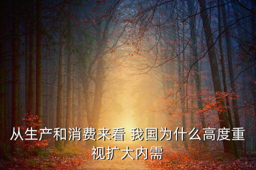 從生產(chǎn)和消費(fèi)來(lái)看 我國(guó)為什么高度重視擴(kuò)大內(nèi)需