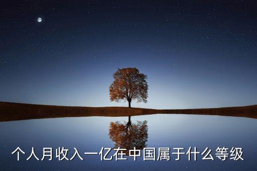 個人月收入一億在中國屬于什么等級