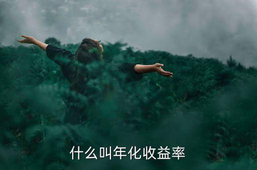 8的年收益是什么意思，投入100年化借款利率8什么意思