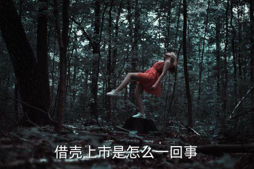 阿里巴巴為什么借殼上市，阿里巴巴為什么要上市