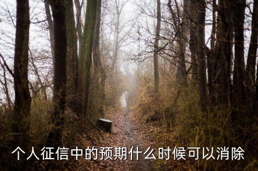 中國正信什么時候分紅，個人征信中的預期什么時候可以消除