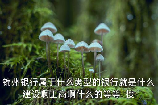 錦州銀行屬于什么類型的銀行就是什么建設啊工商啊什么的等等  搜