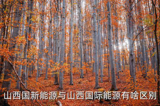 國新能源是什么企業(yè)，浙江國能新能源有限公司怎么樣