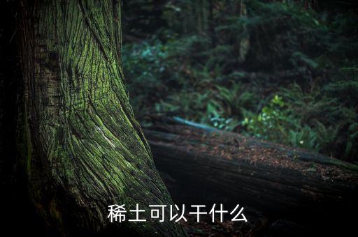 稀土國儲什么用，稀土國儲