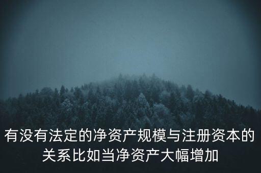 凈資產(chǎn)規(guī)模是什么，凈資產(chǎn)5億的企業(yè)是什么規(guī)模