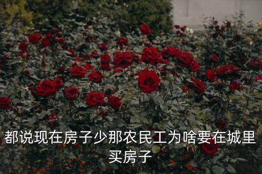 都說(shuō)現(xiàn)在房子少那農(nóng)民工為啥要在城里買房子