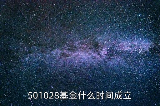 501028基金什么時(shí)間成立