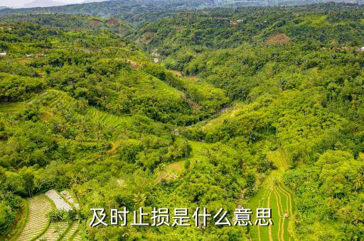 適時(shí)止損是什么意思，勿糾結(jié)于沉沒成本 即時(shí)止損什么意思