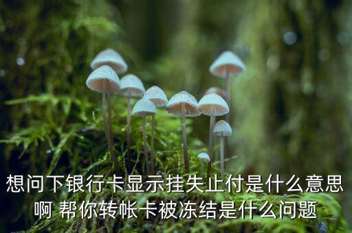 想問下銀行卡顯示掛失止付是什么意思啊 幫你轉帳卡被凍結是什么問題