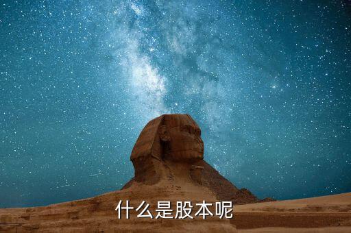 什么是股本呢