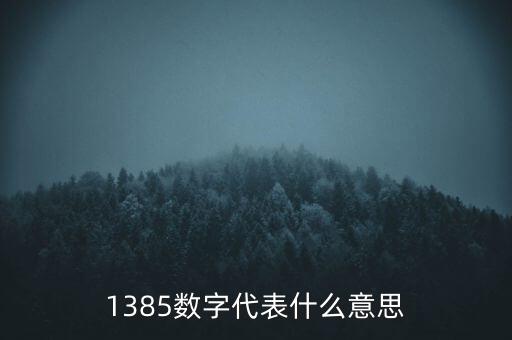 1385年什么，1385數(shù)字代表什么意思