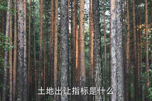 土地出讓指標是什么