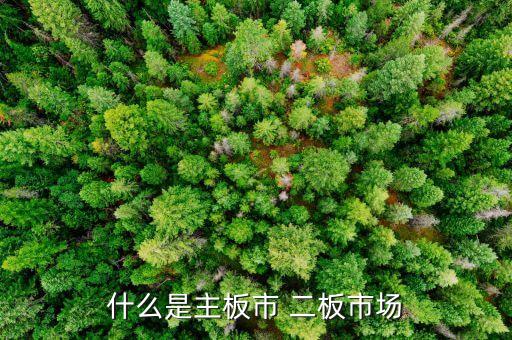 什么是主板市 二板市場(chǎng)