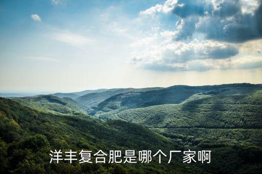 洋豐復(fù)合肥是哪個(gè)廠家啊