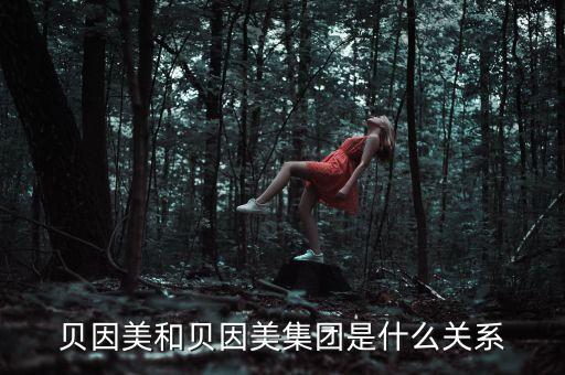 貝因美是什么股，貝因美和貝因美集團(tuán)是什么關(guān)系